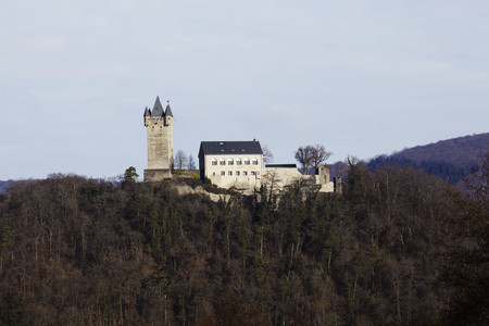 Burg Nassau auf einem Hügel mit Bäumen, im Hintergrund Wald