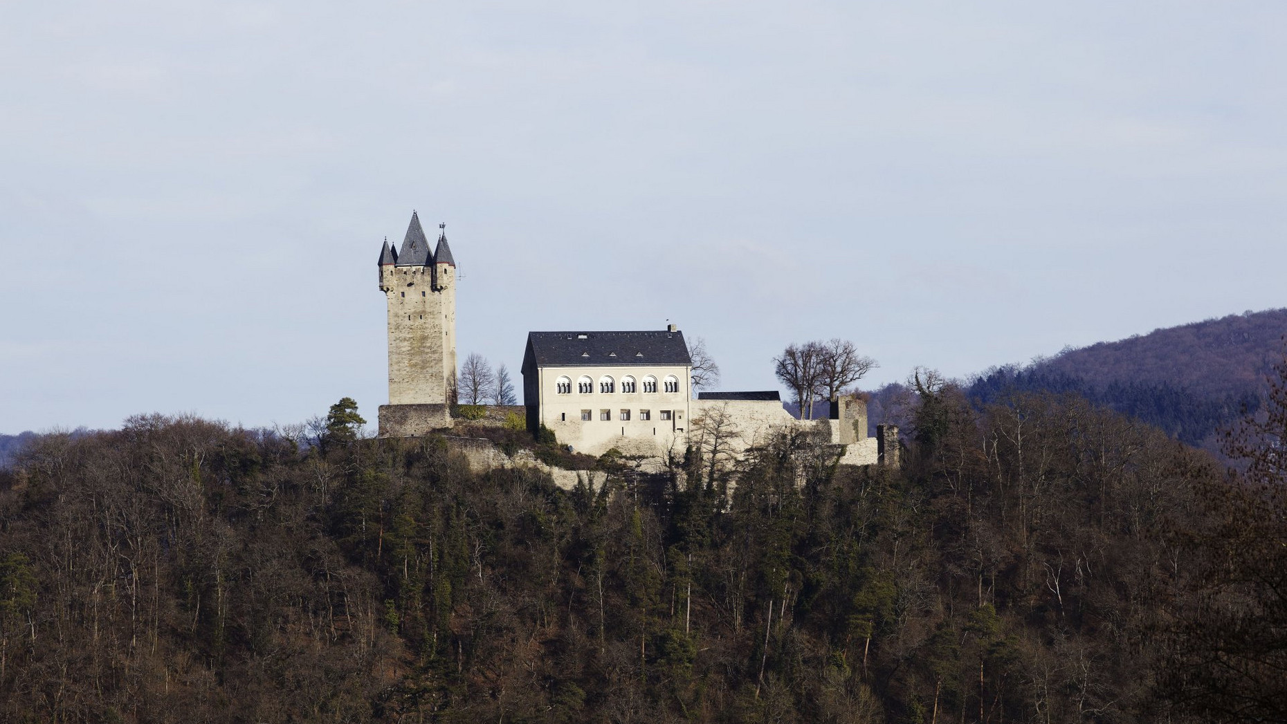 Burg Nassau Burg Nassau auf einem Hügel mit Bäumen, im Hintergrund Wald
