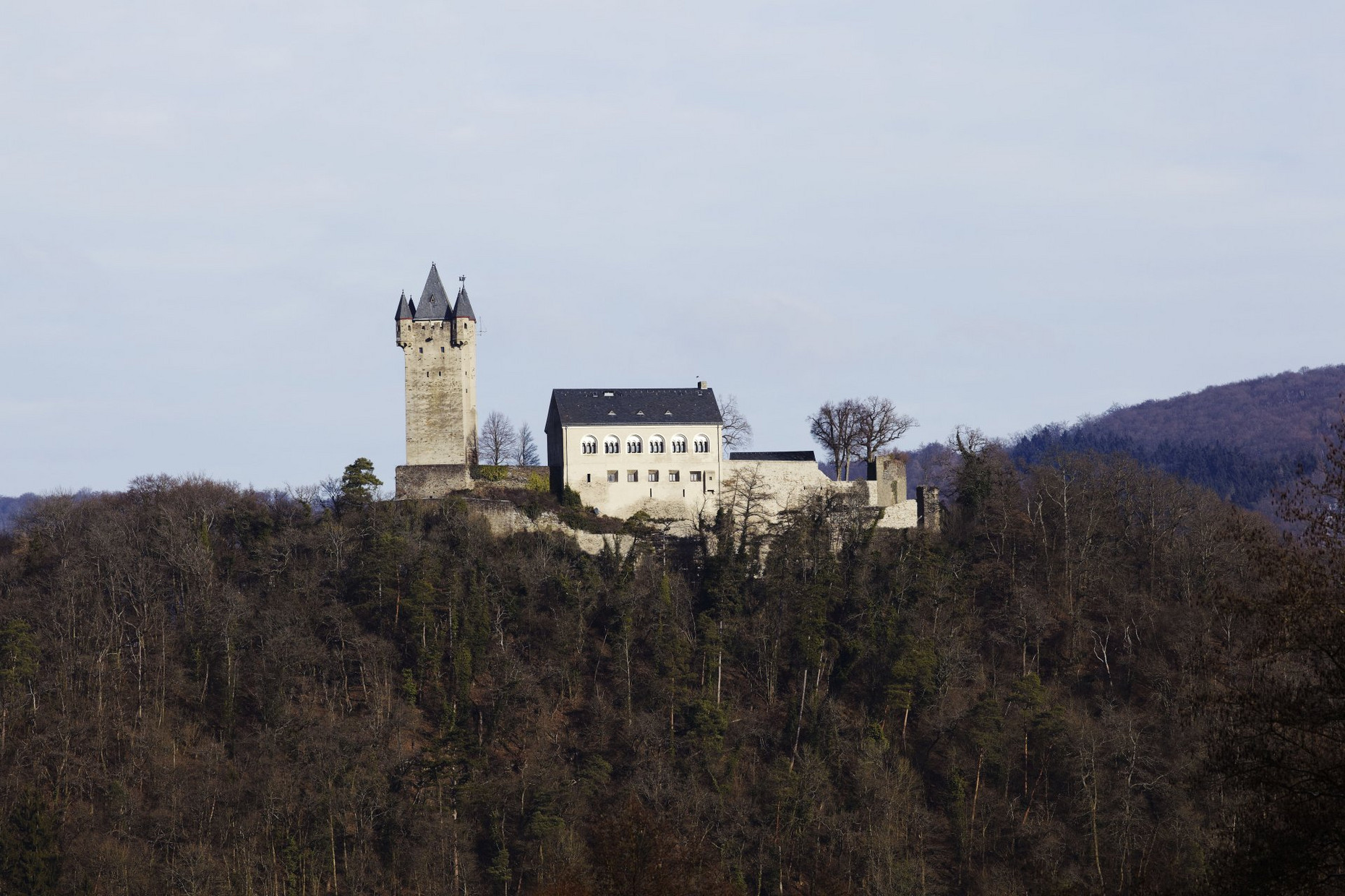 Burg Nassau Burg Nassau auf einem Hügel mit Bäumen, im Hintergrund Wald