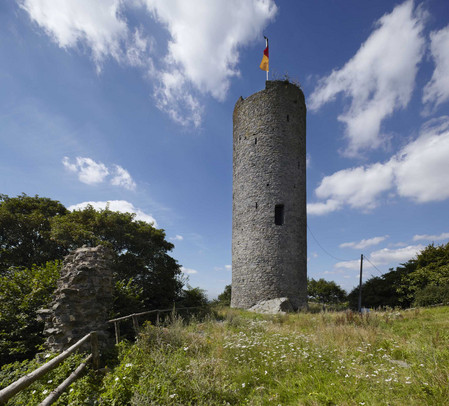 Blick auf den Bergfried, davor Wiese, links Mauerreste, im Hintergrund Bäume