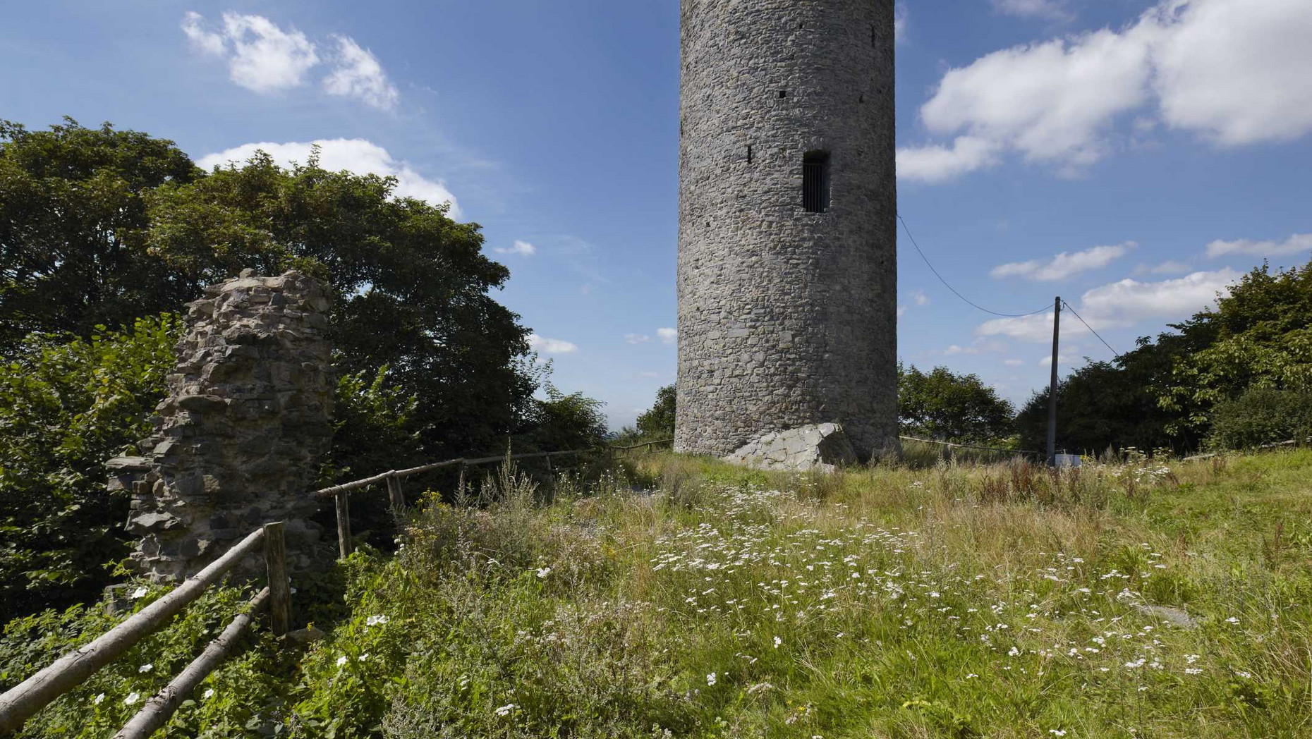 Hartenfels Blick auf den Bergfried, davor Wiese, links Mauerreste, im Hintergrund Bäume